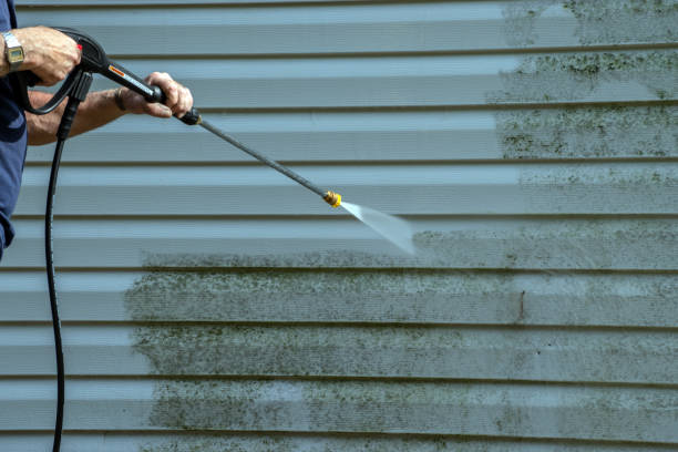 Best Affordable Power Washing  in Elm Creek, TX