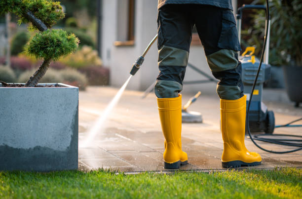 Best House Pressure Washing  in Elm Creek, TX